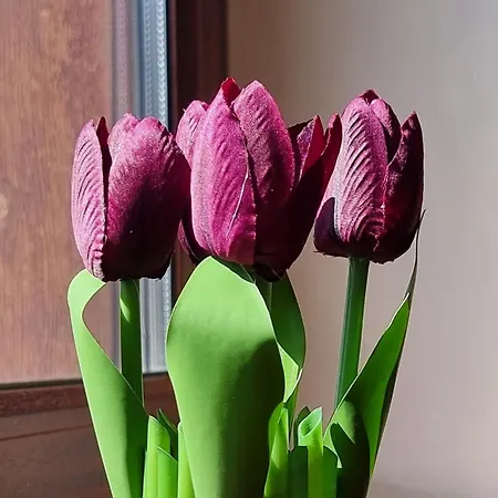 شقة Mountain Paradise 1 - 2 Bedroom - Large *