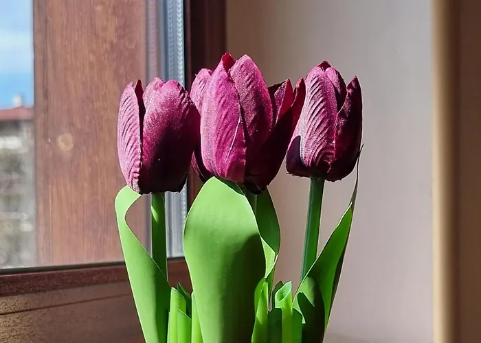 公寓 Mountain Paradise 1 - 2 Bedroom - Large *